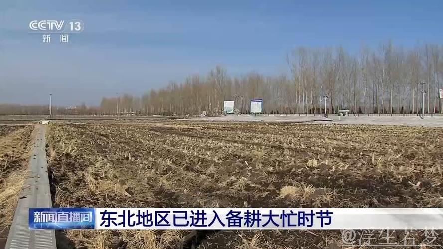 全国春播粮食面积已超3500万亩